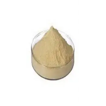 Protein Hydrolysate powder